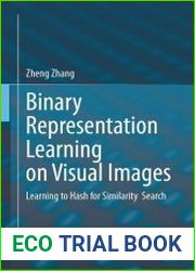 Binary Representation Learning on Visual Images Learning to Hash for Similarity Search