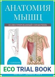 Анатомия мышц иллюстрированный справочник