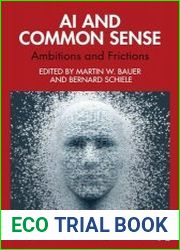 AI and Common Sense Ambitions and Frictions
