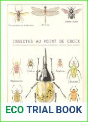 Insectes au point de croix