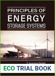 Principles of Energy Storage Systems