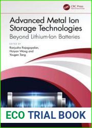 Advanced Metal Ion Storage Technologies Beyond Lithium-Ion Batteries