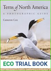 Terns of North America A Photographic Guide
