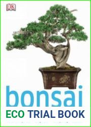 Bonsai by DK