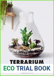 Terrarium 33 Glass Gardens to Make Your Own