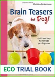 Brain Teasers for Dogs Quick and easy homemade puzzle games