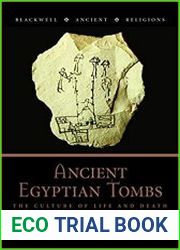 Ancient Egyptian Tombs The Culture of Life and Death