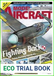 Model Aircraft