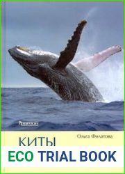 Киты и дельфины