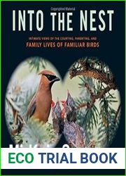 Into the Nest Intimate Views of the Courting, Parenting, and Family Lives of Familiar Birds
