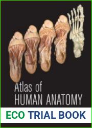 Atlas of Human Anatomy