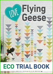 Love Flying Geese 27 Modern Quilt Projects from Love Patchwork & Quilting