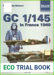 GC 1/145 in France 1940 (Mushroom Blue Series 7102)