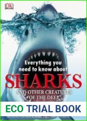 Everything You Need to Know About Sharks