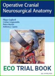 Operative Cranial Neurosurgical Anatomy
