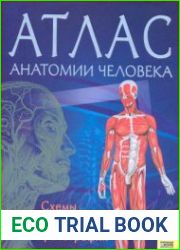 Атлас анатомии человека. Схемы, рисунки, фотографии