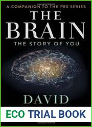 The Brain The Story of You