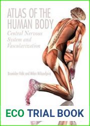 Atlas of the Human Body Central Nervous System and Vascularization
