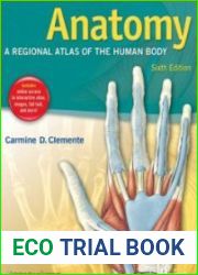 Anatomy A Regional Atlas of the Human Body