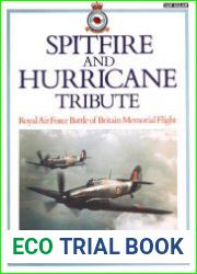 Spitfire and Hurricane Tribute