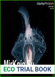 Underwater Photography