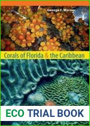 Corals of Florida and the Caribbean