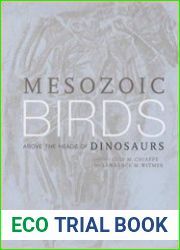 Mesozoic Birds Above the Heads of Dinosaurs