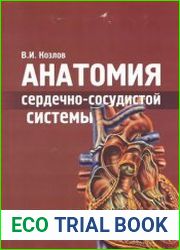 Анатомия сердечно-сосудистой системы