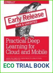 Practical Deep Learning for Cloud and Mobile