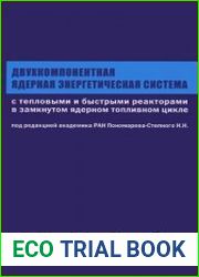 Двухкомпонентная ядерная энергетическая система