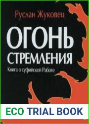 Огонь стремления. Книга о суфийской Работе (Аудиокнига)
