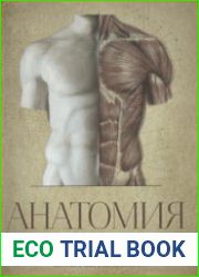 Анатомия фигуры человека краткое пособие для художников