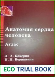 Анатомия сердца человека