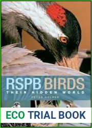 RSPB Birds Their Hidden World