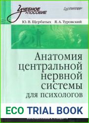 Анатомия центральной нервной системы для психологов