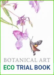Botanical Art with Scientific Illustration