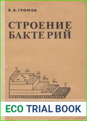Строение бактерии