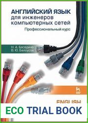 Английский язык для инженеров компьютерных сетей. Профессиональный курс