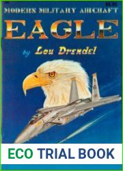 Modern Military Aircraft Eagle