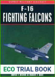 F-16 Fighting Falcons