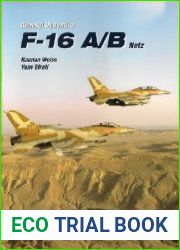 General Dynamics F-16 A/B Netz
