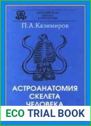 Астроанатомия скелета человека
