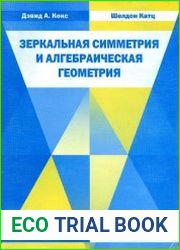 Зеркальная симметрия и алгебраическая геометрия