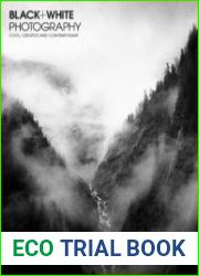 Black + White Photography