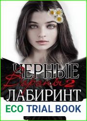 Лабиринт. Черные вороны. Книга 2