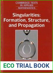 Singularities Formation, Structure, and Propagation