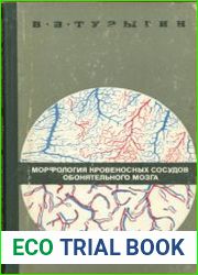 Морфология кровеносных сосудов обонятельного мозга
