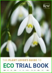 The Plant Lover|s Guide to Snowdrops