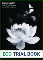 Black + White Photography