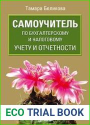 Самоучитель по бухгалтерскому и налоговому учету и отчетности